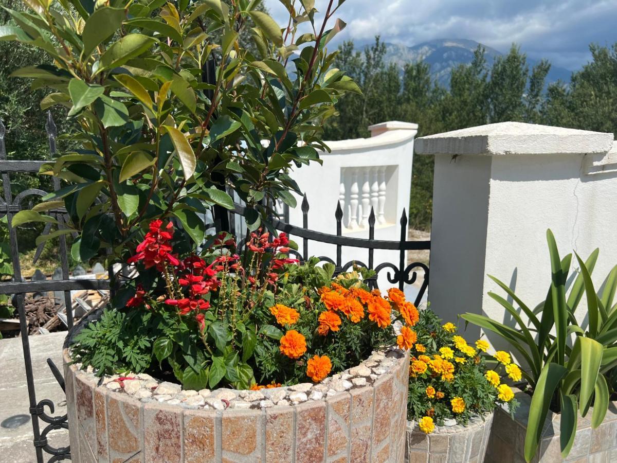 Netho Apartments Brda Mrcevac Dış mekan fotoğraf